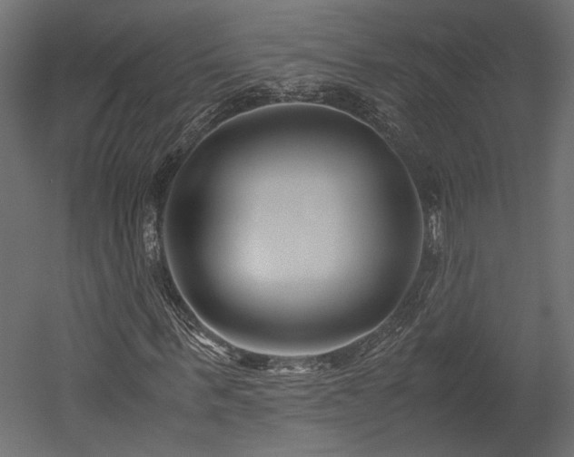 X0000052630963200507011316