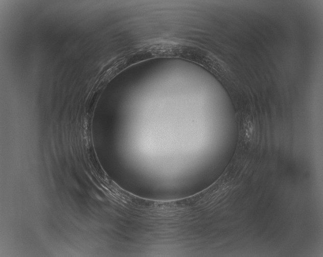 X0000052630964200507011316