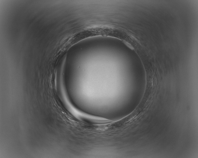 X0000052630965200507011316