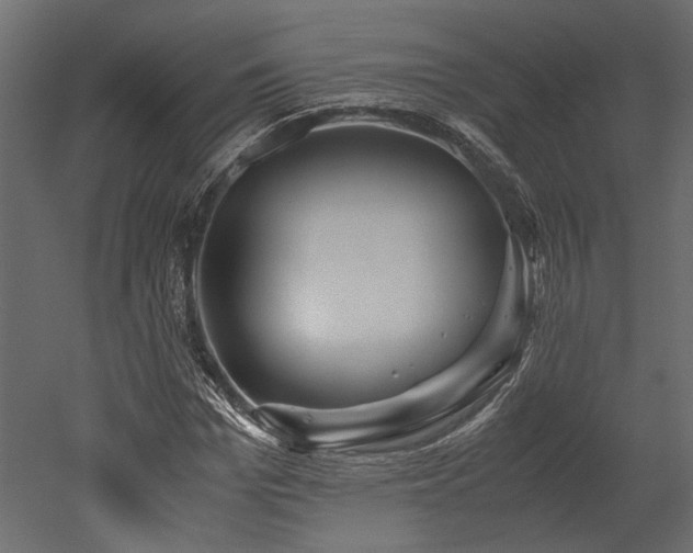 X0000052630969200507011316