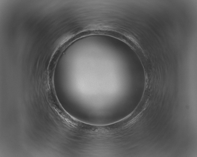 X0000052630974200507011315