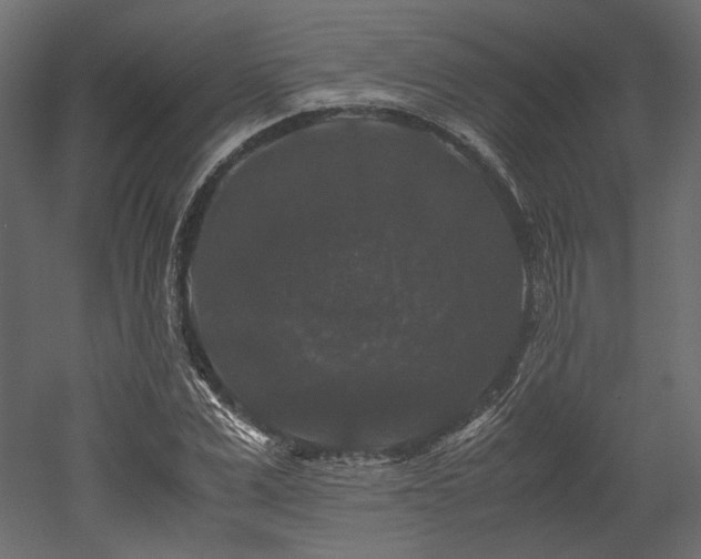 X0000052630975200507011315