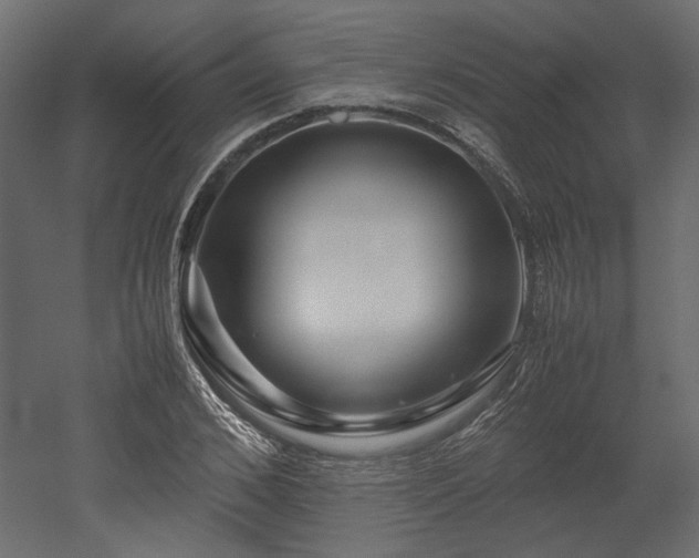 X0000052630976200507011315