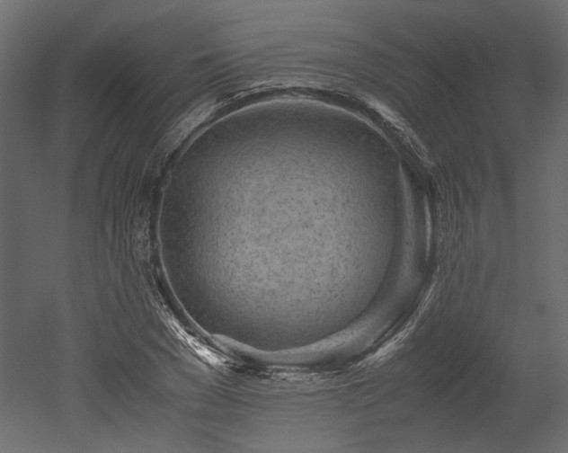 X0000052630977200507011315