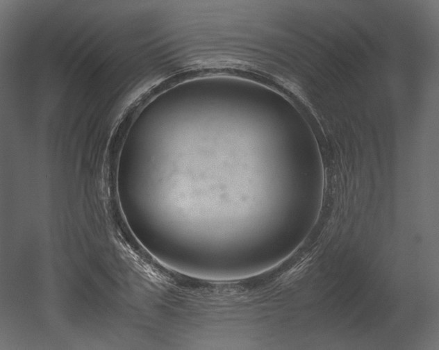 X0000052630979200507011315