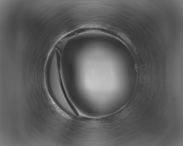 X0000052630984200507011315