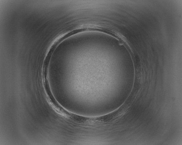 X0000052630987200507011315