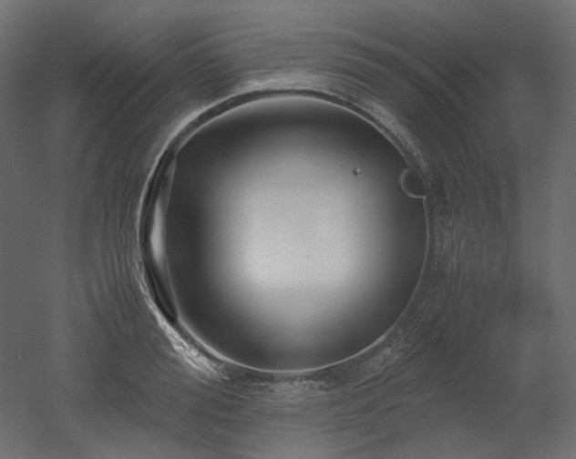 X0000052630988200507011315
