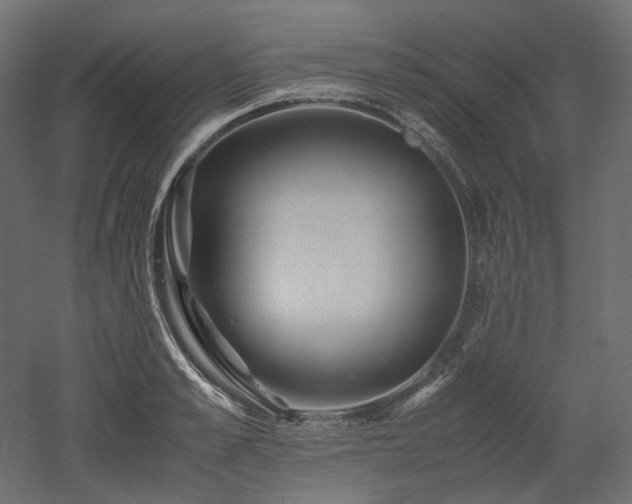 X0000052630989200507011315