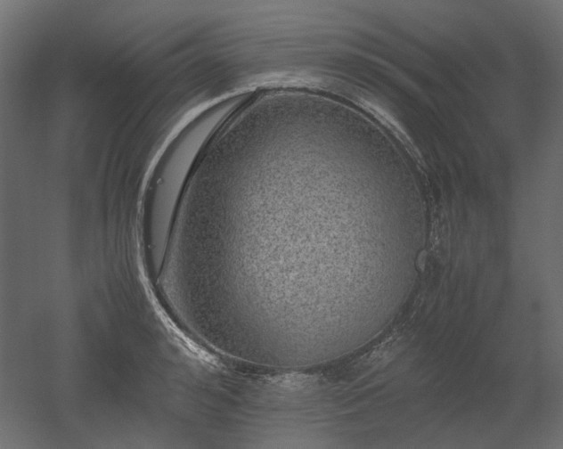 X0000052630992200507011315