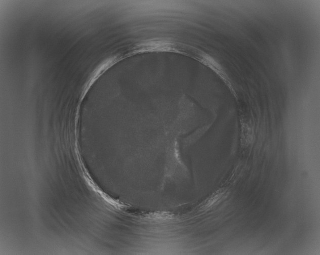 X0000052630994200507011315