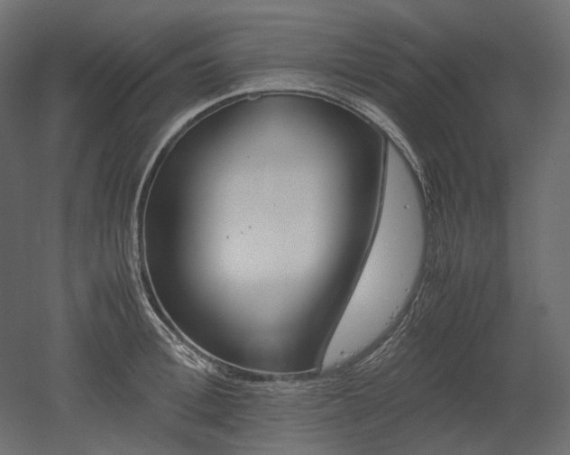X0000052630996200507011315