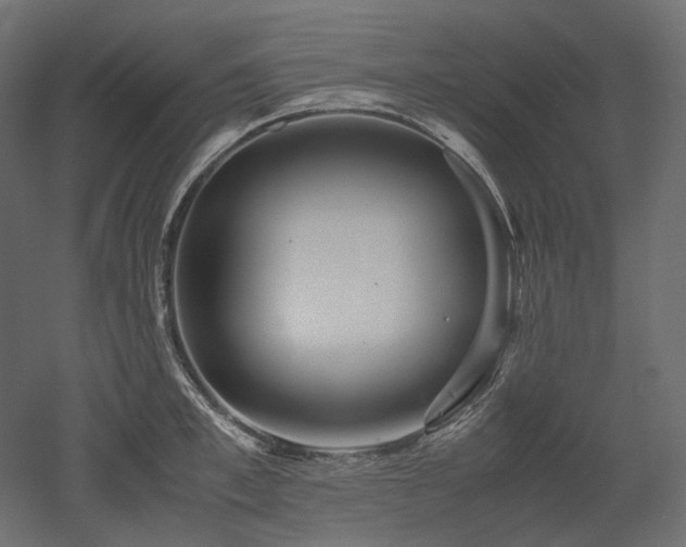 X0000052630997200507011315