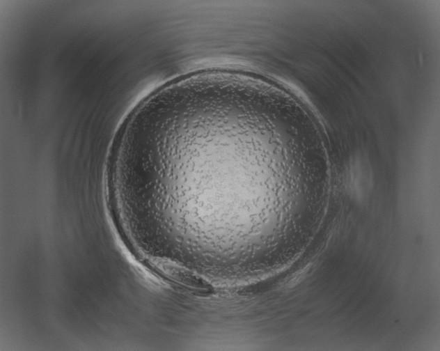 X0000052630999200507011315