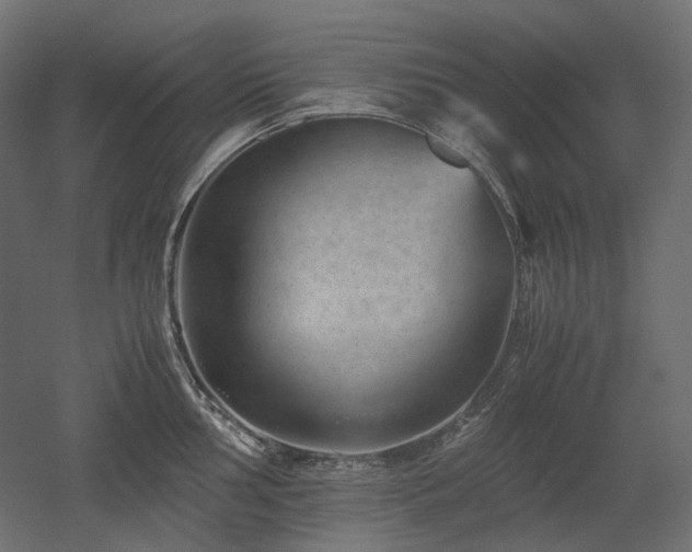 X0000052631002200507011315