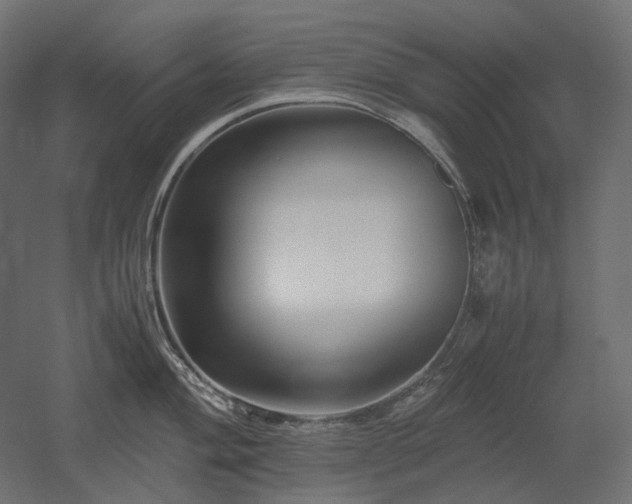 X0000052631004200507011315