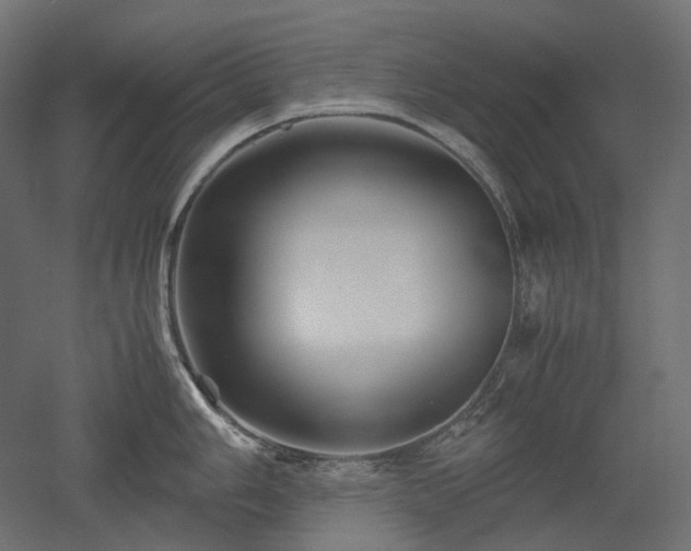 X0000052631006200507011315