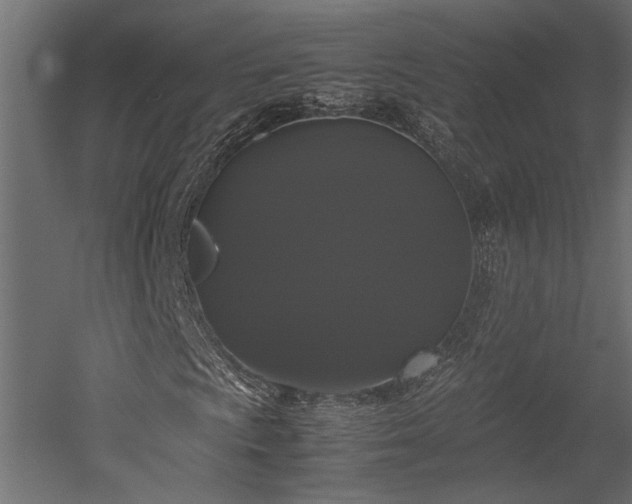 X0000052631009200507011314
