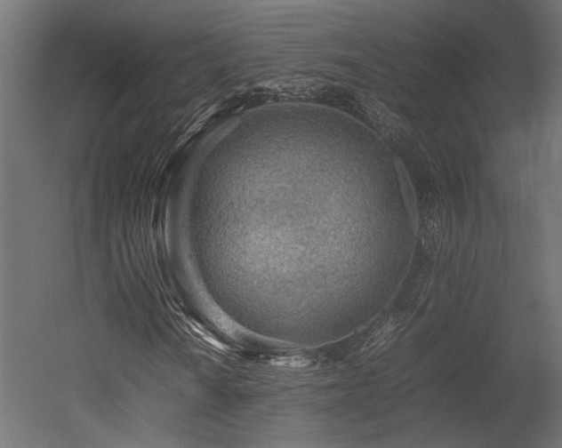 X0000052631010200507011314