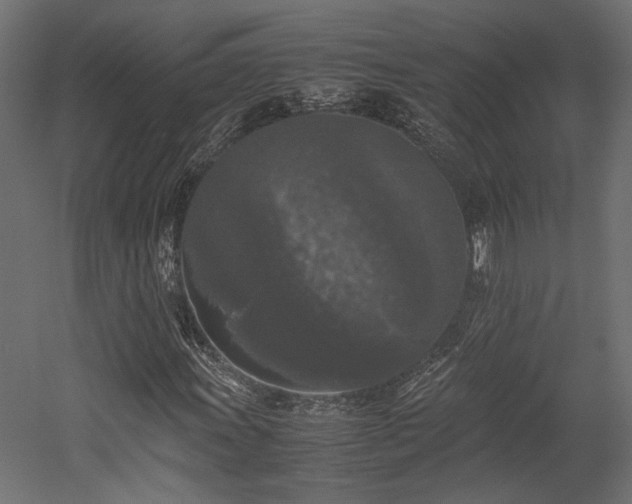X0000052631011200507011314
