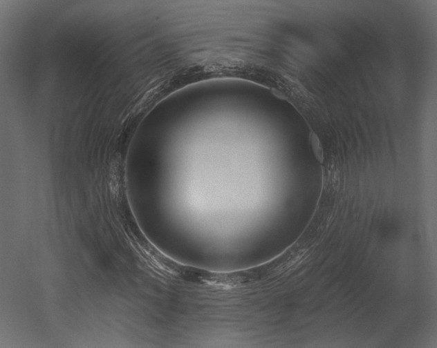 X0000052631012200507011314