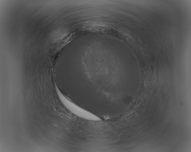 X0000052631013200507011314