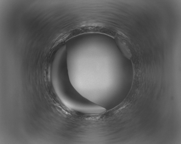 X0000052631014200507011314