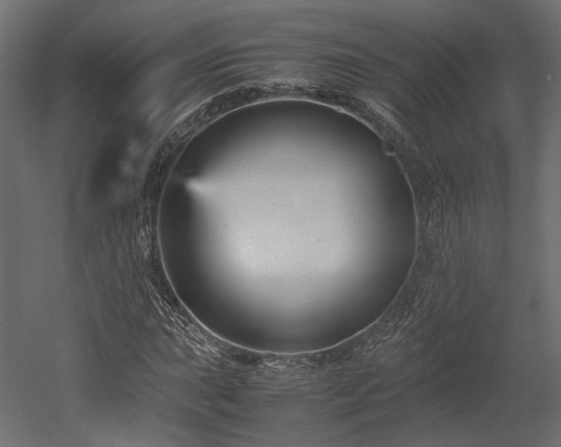 X0000052631015200507011314