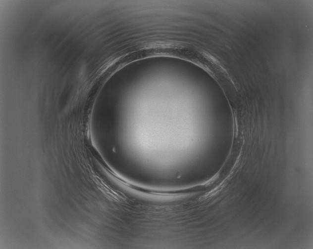 X0000052631017200507011314