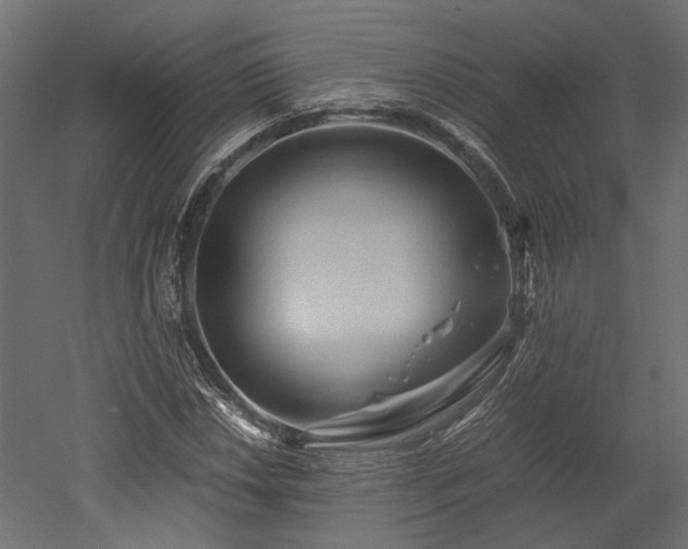 X0000052631018200507011314
