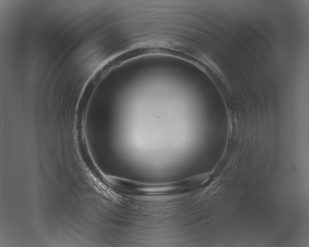 X0000052631020200507011314