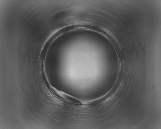 X0000052631021200507011314