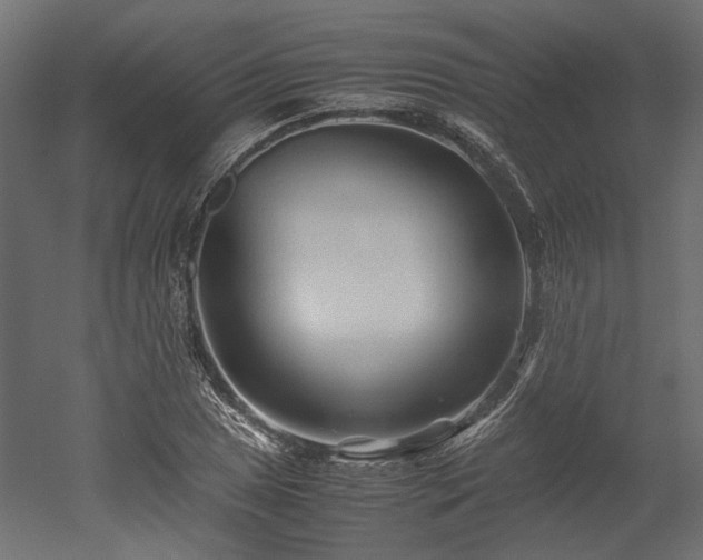 X0000052631025200507011314