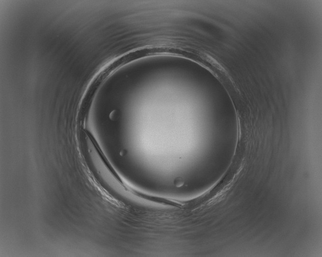 X0000052631029200507011314