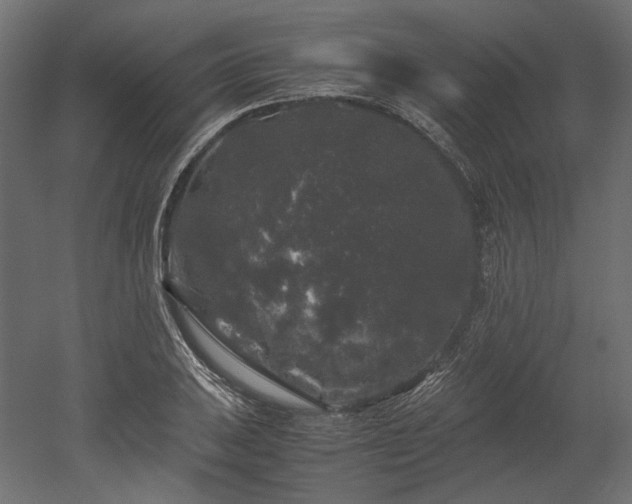X0000052631031200507011314