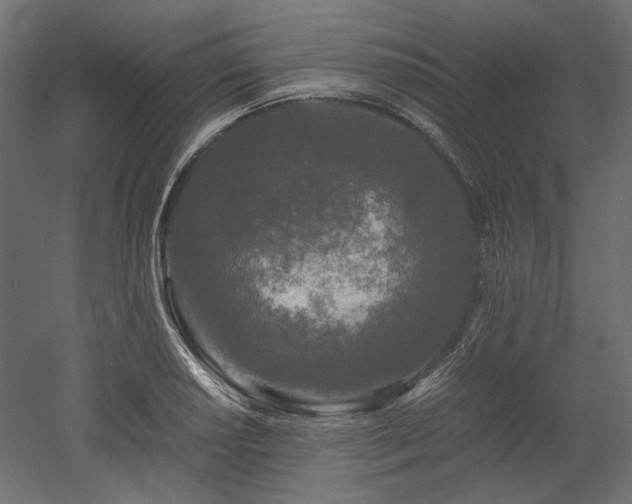 X0000052631034200507011314