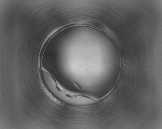 X0000052631036200507011315