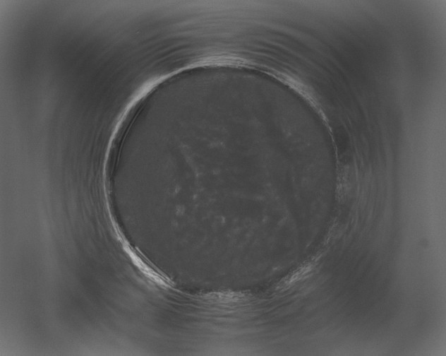 X0000052631037200507011315