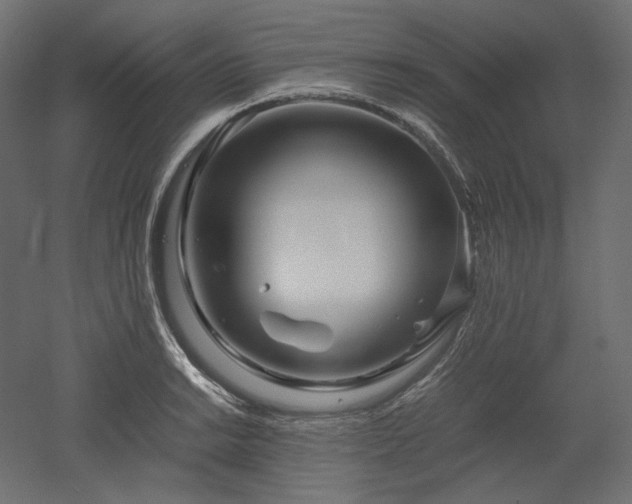 X0000052631038200507011315