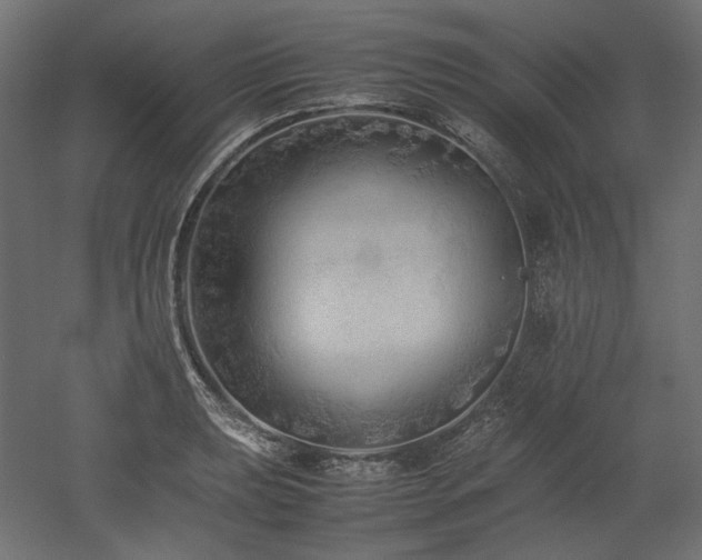 X0000052631039200507011315