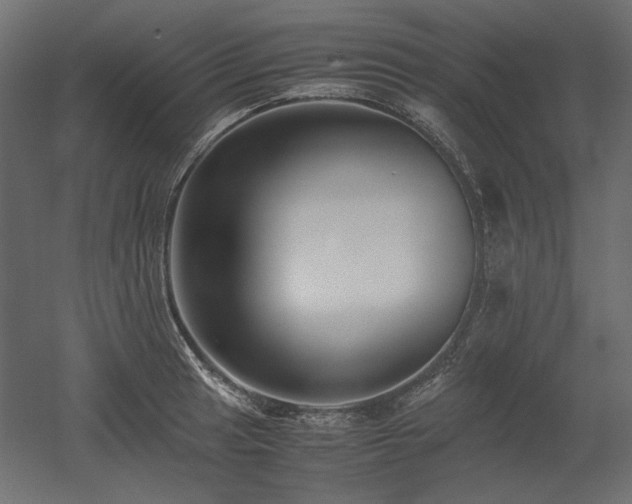 X0000052631041200507011315