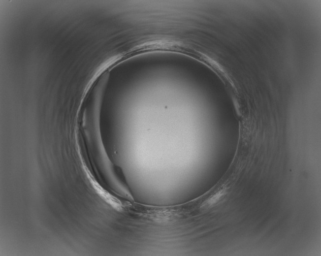 X0000052631042200507011315