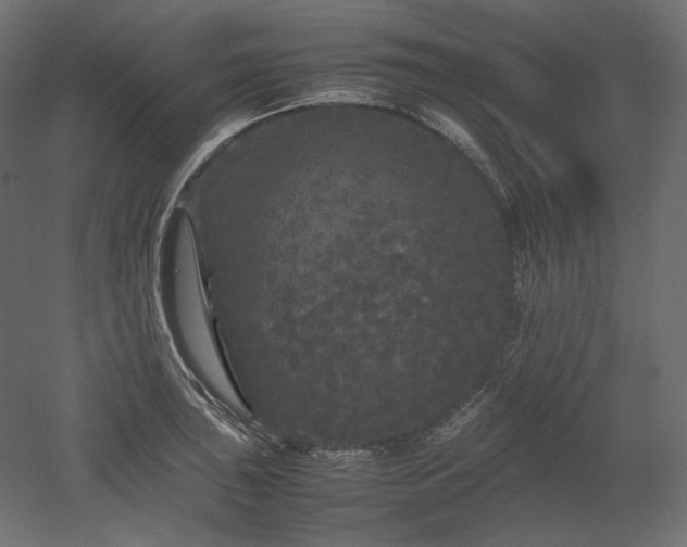 X0000052631043200507011315