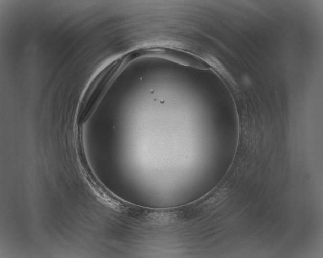 X0000052631044200507011315