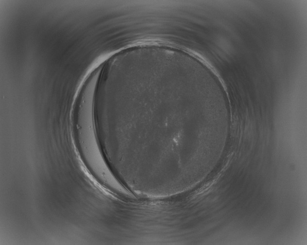 X0000052631045200507011315