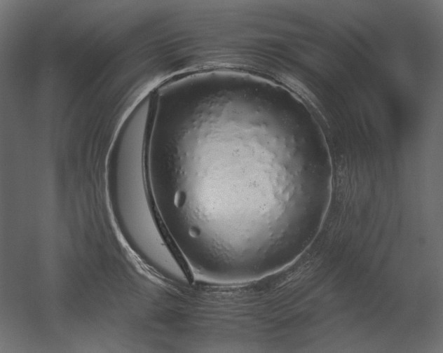 X0000052631047200507011315