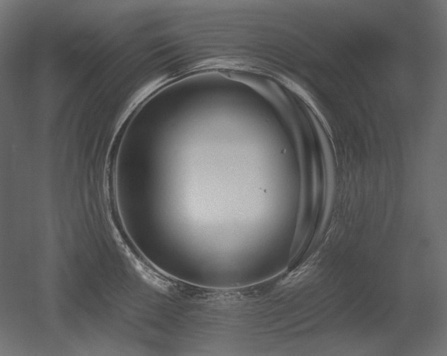 X0000052631050200507011315