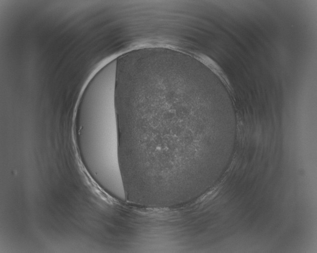 X0000052631052200507011315