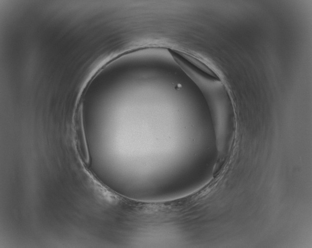 X0000052631056200507011315