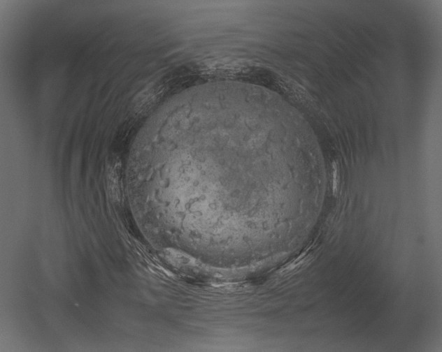 X0000052631059200507011314